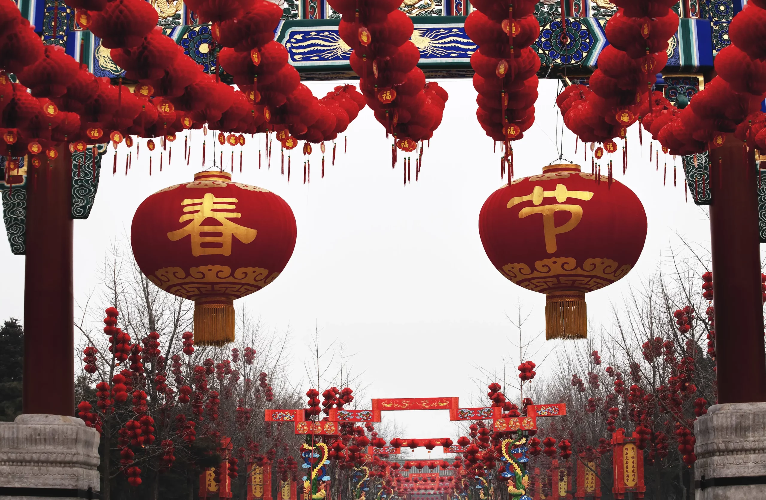 Chinese New Year Lanterns Spring Festival